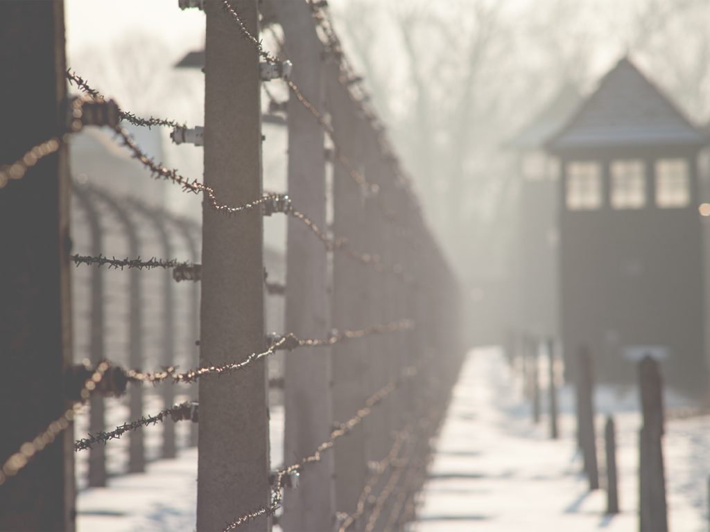 Confronting the Holocaust: Lessons for the 21st Century